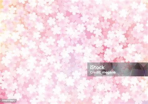 Ilustrasi Latar Belakang Bunga Sakura Ilustrasi Stok Unduh Gambar