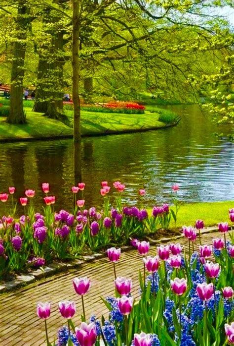 Pin By Marsha Lingle On Spring Beautiful Gardens Most Beautiful