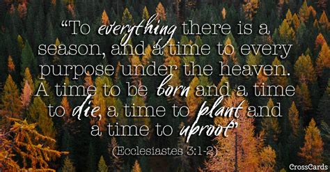 Ecclesiastes 31 2 A Season For Everything Inspirations