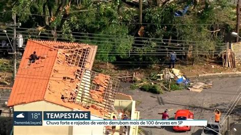 Chuva Forte E Rajadas De Vento Derrubam árvores E Destelham Casas Em Sp São Paulo G1