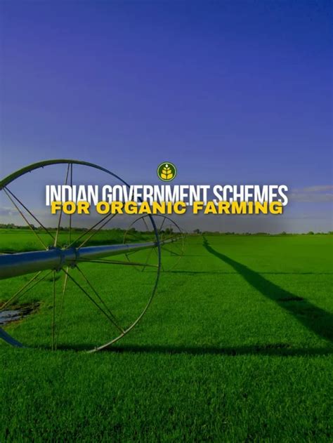 5 Government Schemes That Promote Organic Farming In India ...