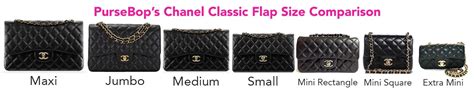 Size Guide Chanel Classic Double Flap Bag Iucn Water