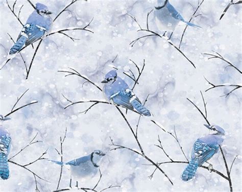 Blue Bird Fabric Blue Jay Bird Fabric Birds Fabric Bird Fabric Timeless Treasure Fabric 100