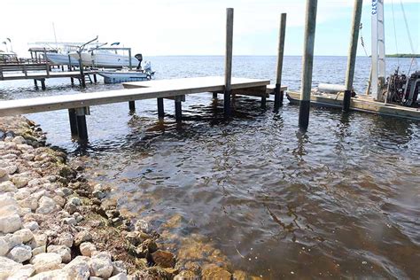 Piling Wraps Dock Piling Wrap Solutions