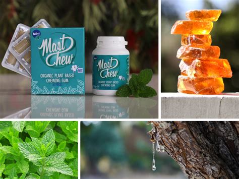 Mast Chew Healthy Organic Gum You Can Swallow