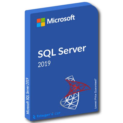 Sql Server 2019 1 User Cal Tingers Digital Store