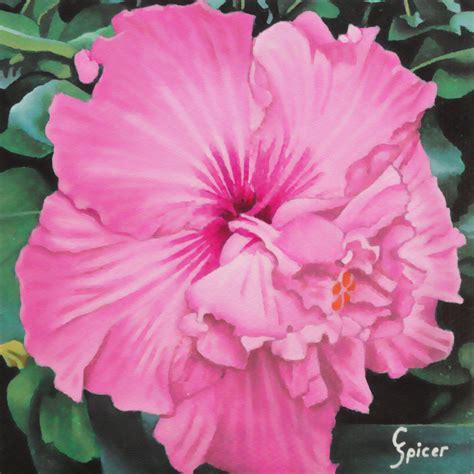 Pink Hibiscus Painting