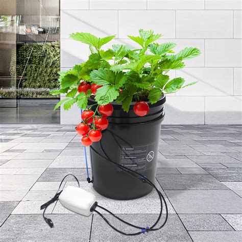 5 Gallon DWC Hydroponic Deep Water Culture Bucket Grow System Tool Kit