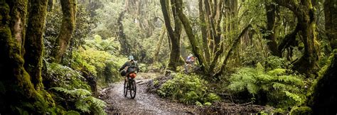 mountain bike parks  trails  pure  zealand