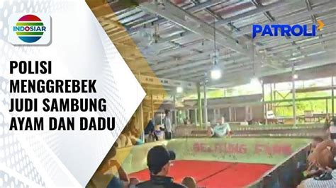 Polisi Gerebek Arena Judi Sabung Ayam Dan Dadu Yang Beromzet Ratusan