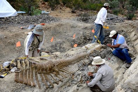 Paleontólogos encontram nova espécie de dinossauro no México