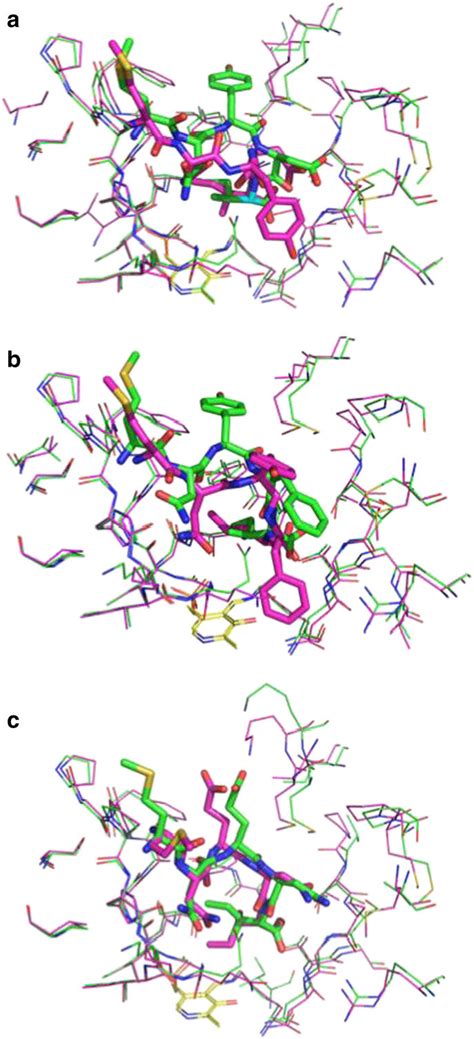 Superimposition Of The Docked Conformations Of The Pentapeptides MNYDI