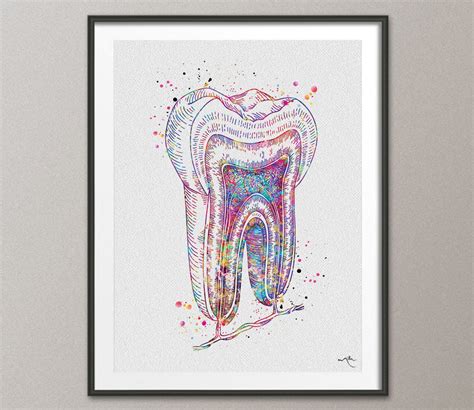 Tooth Cross Section Watercolor Print Molar Tooth Anatomical Art Dental