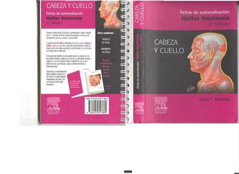 Fichas De Autoevaluaci N Netter Anatomia De Cabeza Y Cuello Udocz