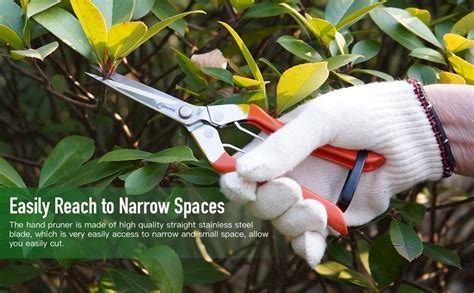 Amazon Sanung Pruning Shears For Gardening Hand Pruner