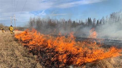 Wildfire Hazard Moderate In Grande Prairie Forest Area Everythinggp