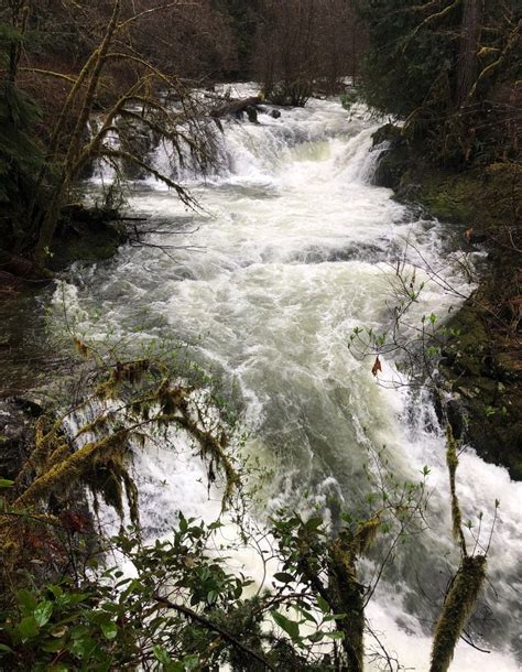 Sweet Creek Falls Is A Wonderful Overlooked Waterfall Hike In The