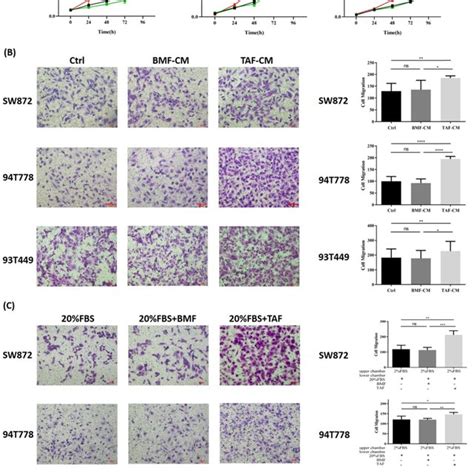 Tafs From Ddlps Promoted Proliferation Migration And Chemotaxis Of Lps