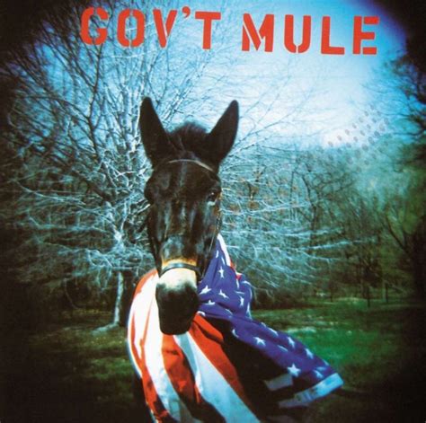 Government Mule Tour 2024 Agna Lorain