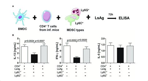 Infection Derived Mo Mdscs Suppress Filarial Specific Cd4 T Cell