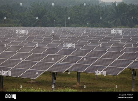 Un Campo De Paneles Solares Al Sur De Kuala Lumpur Malasia Los