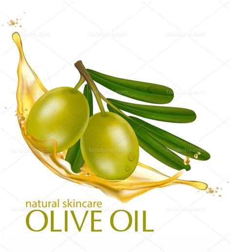وکتور روغن زیتون و برگ زیتون گرافیک با طعم تربچه