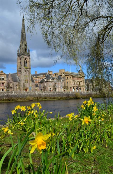 Tour Scotland Tour Scotland Photographs Video Daffodils River Tay