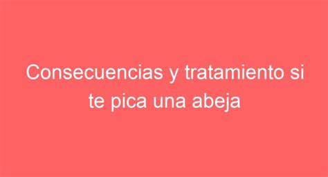 Consecuencias y tratamiento si te pica una abeja en el pílín