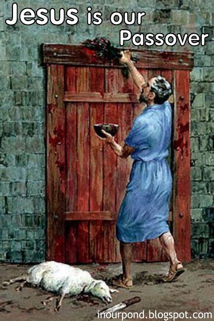 A Christ Centered Passover Part 2 Passover Passover Lamb Bible Pictures