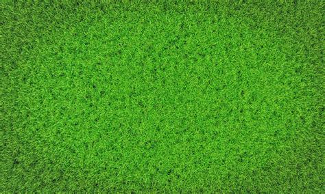 Top View Fresh Green Lawns For Background Backdrop Or Wallpaper