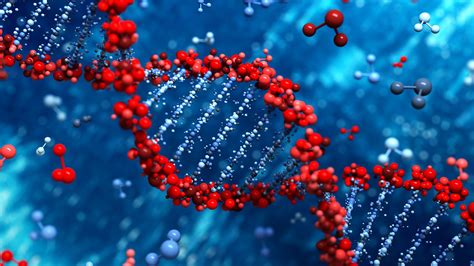 Detection of DNA base modifications by deep recurrent neural network on ...
