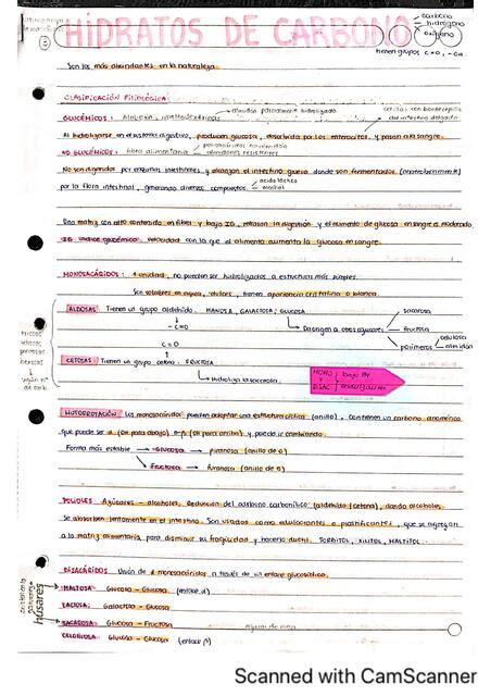 Hidratos De Carbono Milagros Udocz