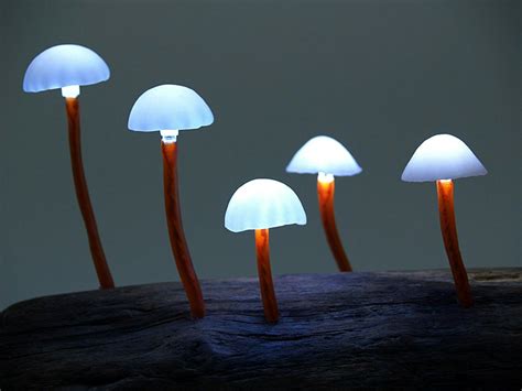 Led Mushroom Light Lamps Mushroom Lights Glowing Mushrooms Stuffed