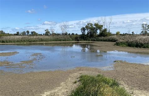 Best Hikes And Trails In Maumee Bay State Park Alltrails