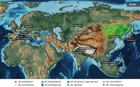 Paleomap Of Eurasia By Early Miocene Times 20 Ma Showing The Main