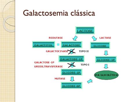 Ppt Galactosemia Powerpoint Presentation Free Download Id 4135280