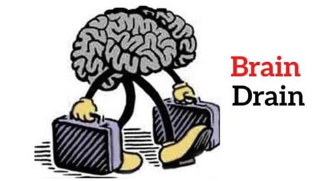 Brain Drain Is Really Brain Gain In Greece Investors King