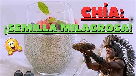 ChÍa ¡semilla Milagrosa Youtube