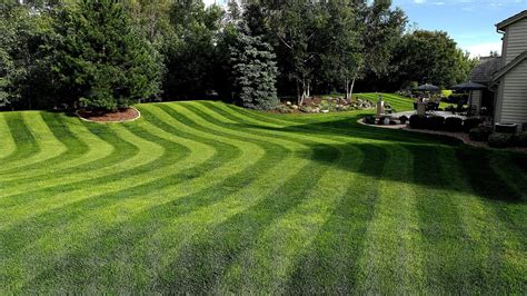 Lawn Perfect Lawn Perfect Choices