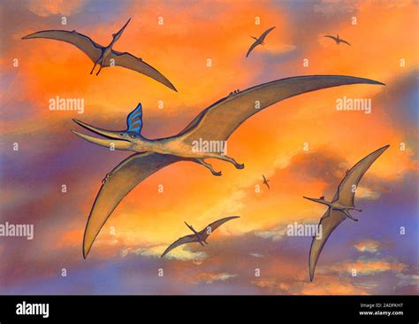 Pterosaur Flying Reptiles Artwork Of Pteranodon Sternbergi Reptiles