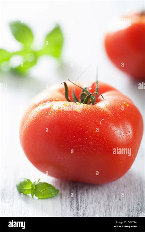 Tomates con hojas fotografías e imágenes de alta resolución Alamy