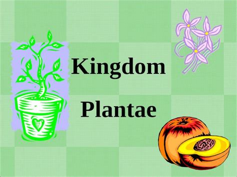 Ppt Kingdom Plantae Objectives Know The Different Types Of Plants