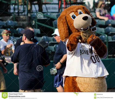 Charlie T. RiverDog editorial stock image. Image of baseball - 56584544