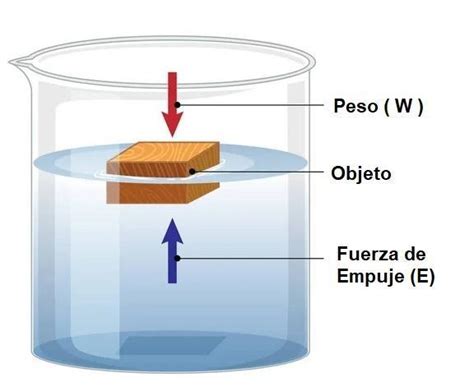 Un Cubo De Acero De Cm De Arista Se Sumerge En Agua Si Tiene Un