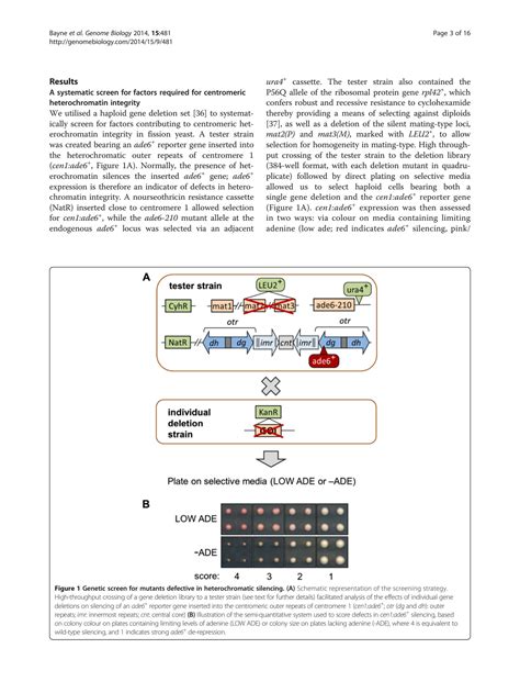 Solution A Systematic Genetic Screen Identifies New Factors