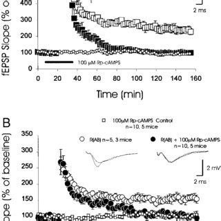 Blockade Of Noradrenergic Receptors In IL Impairs Extinction Memory