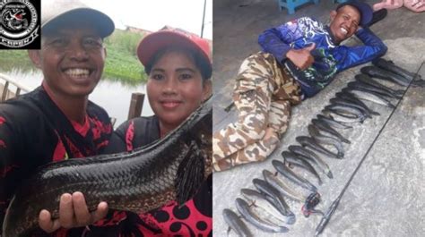 Kisah Pasutri Setiap Hari Bagikan Ikan Gratis Tangkapannya Alasannya