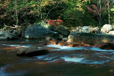 Center for Community Engagement shares message on flood response | E ...