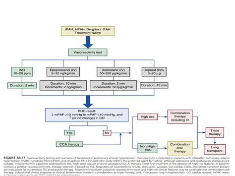 Pulmonary Hypertension Pptx