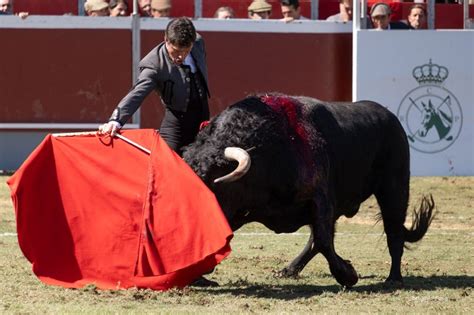 Inolvidable Jornada Taurina En El Festival Toros En Pineda Real